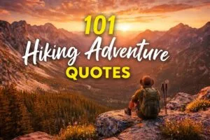 Best Hiking Adventure Quotes