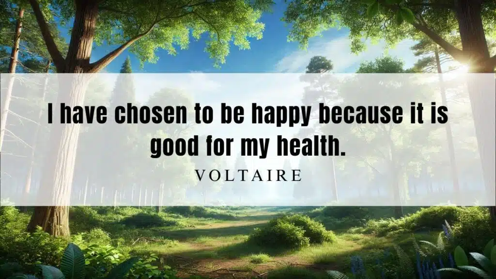 A motivational quotation and illustration from Voltaire dated October 8, 2024