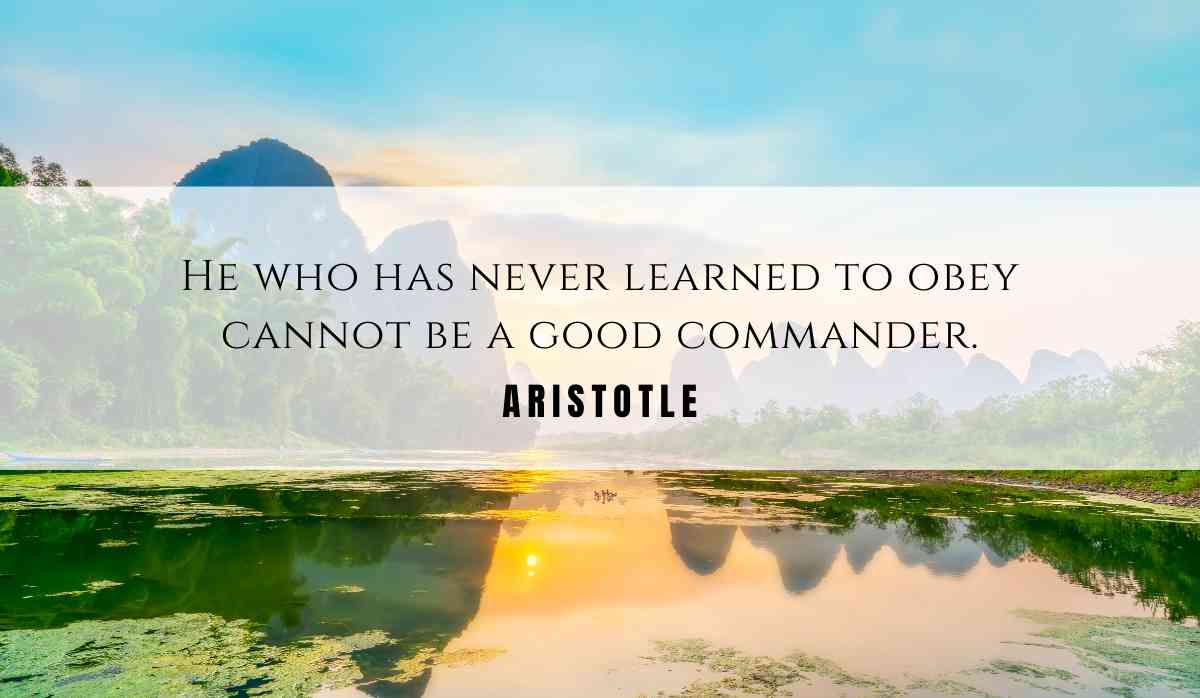 A motivational quotation and illustration from Aristotle dated May 25th 2025