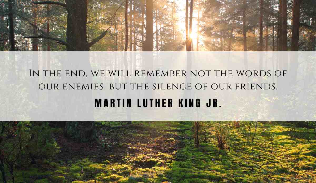 A motivational quote of the day and illustration from Martin Luther King Jr. dated June 9th 2025