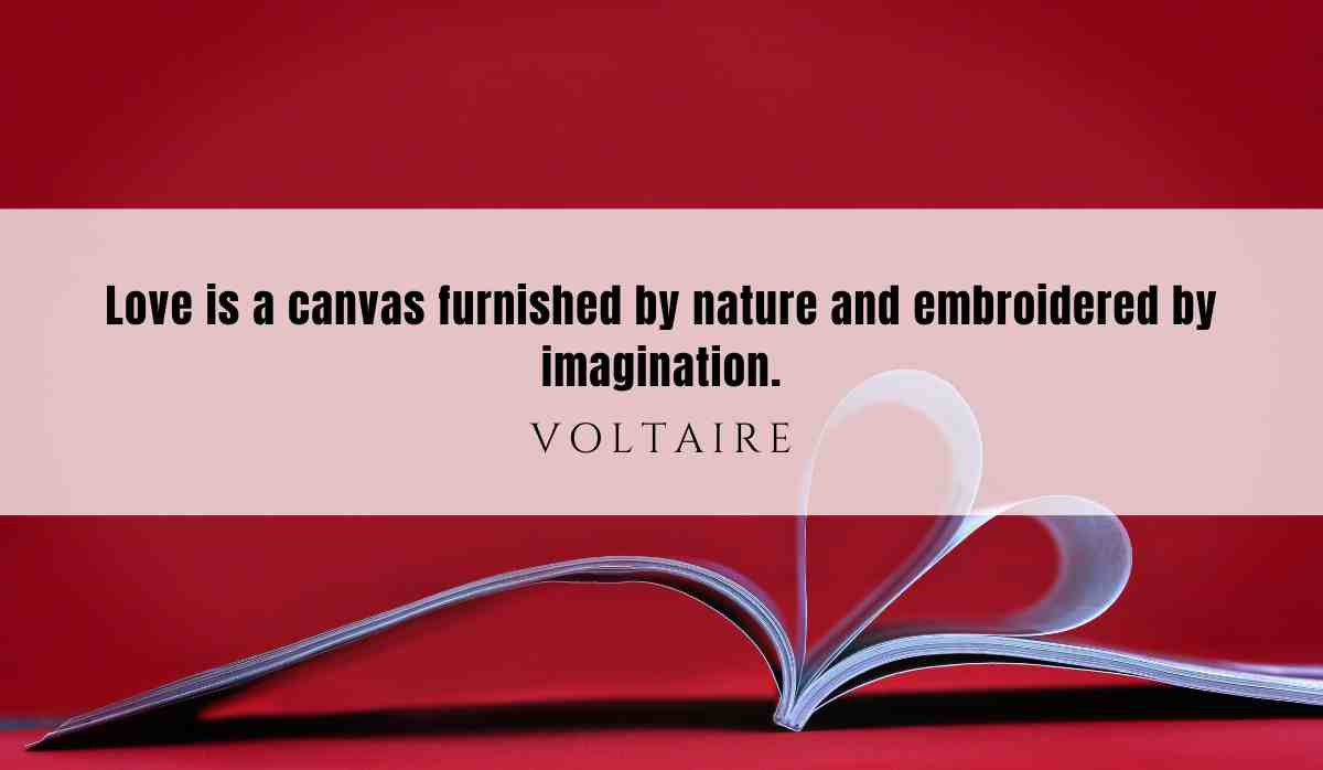 A motivational quote of the day and illustration from Voltaire dated July 9th 2025