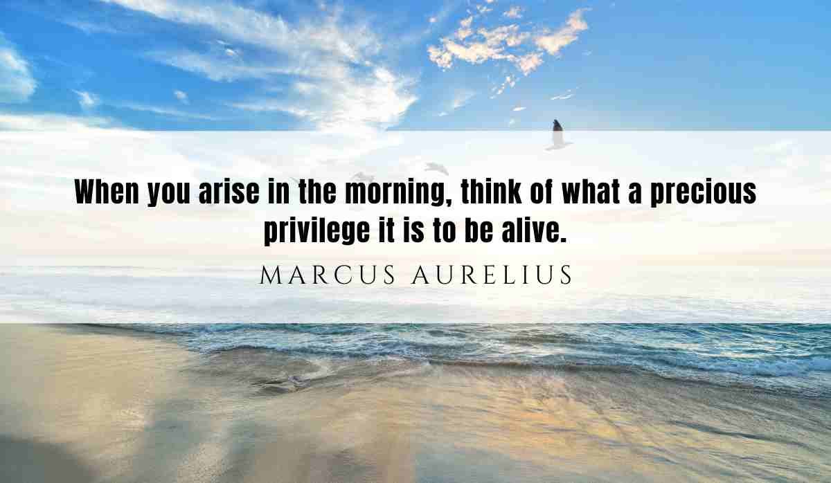 A motivational quote of the day and illustration from Marcus Aurelius dated July 23rd 2025