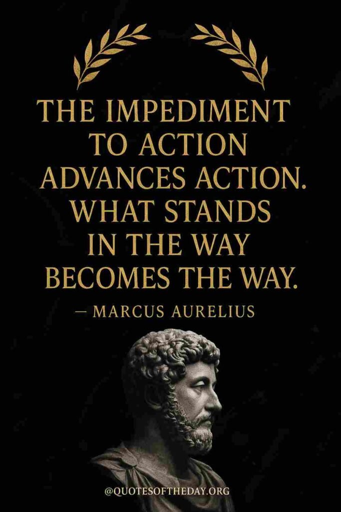 Reflection on Today's Quote - August 28th 2025