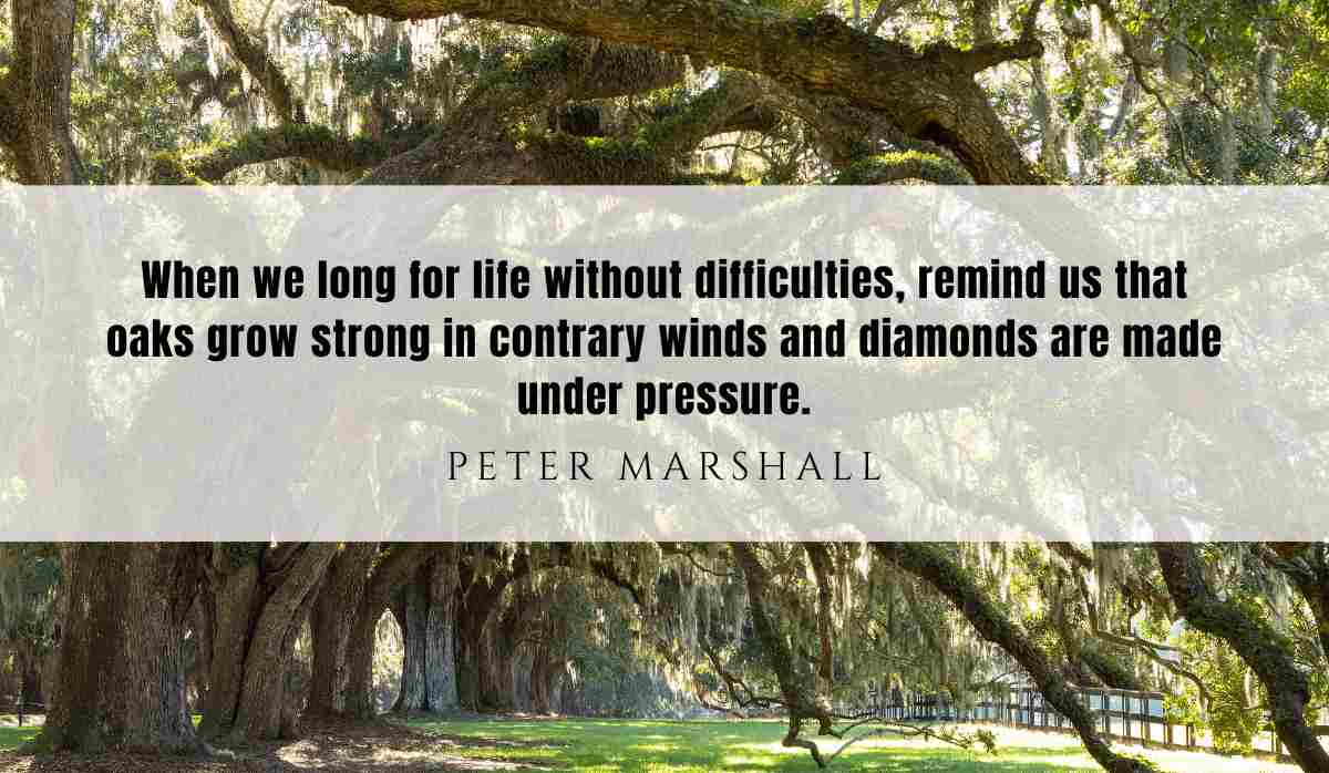 A motivational quote of the day and illustration from Peter Marshall dated August 1st 2025