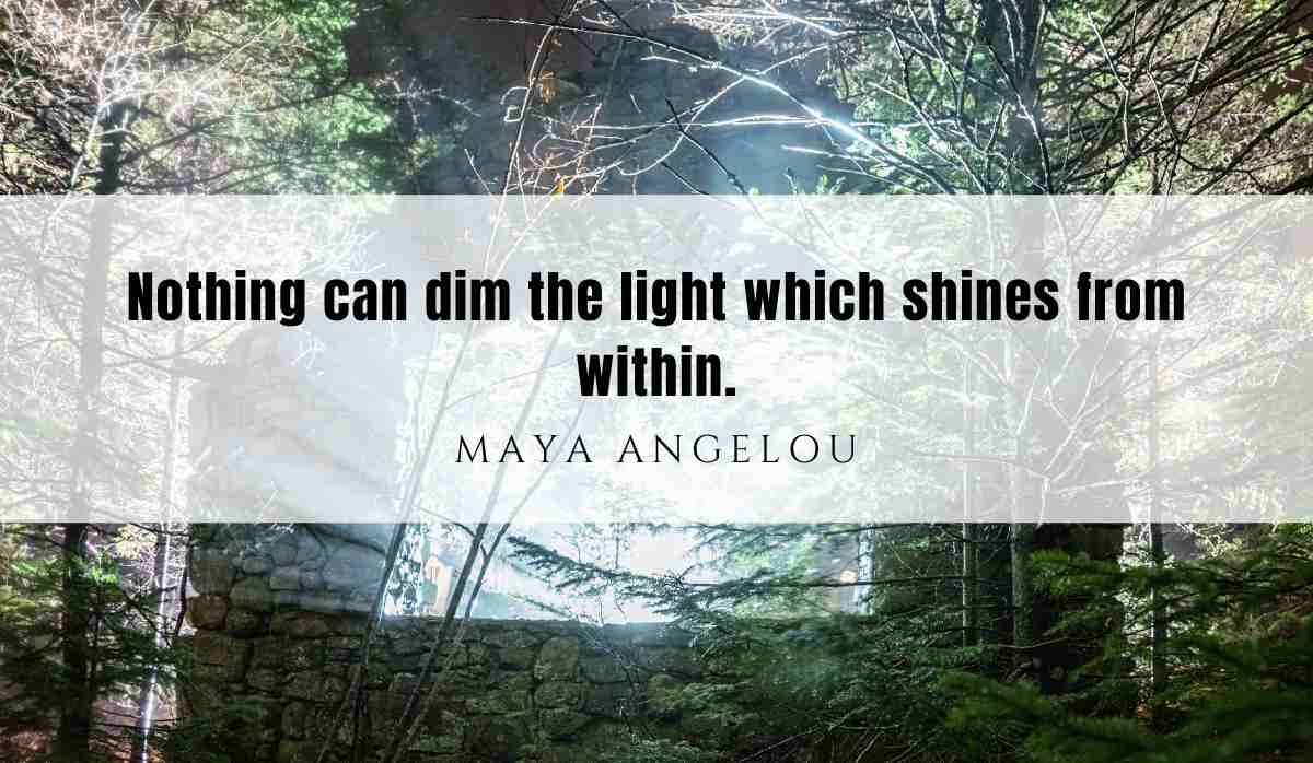 A motivational quote of the day and illustration from Maya Angelou dated August 14th 2025